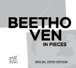 Beethoven in Pieces